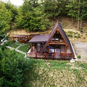 Lake View Cabin Coaș