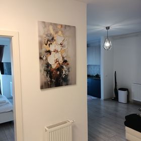 Ariel Apartment Brașov