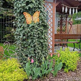 Domek 7 osobowy i apartament u Flisaka Krościenko nad Dunajcem