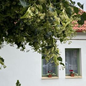 Fenyőudvar Vendégház Mocsa