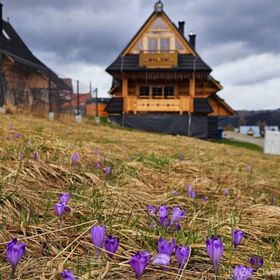 Dom Góralski Łopatówka Murzasichle