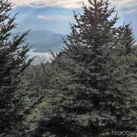 Pokoje Gościnne U Tosi Czorsztyn II