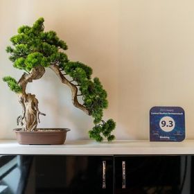 Apartament Demiani House Sibiu