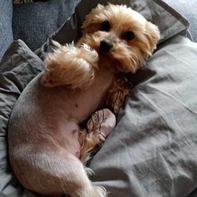 Michelle Apartments - TEST Praha