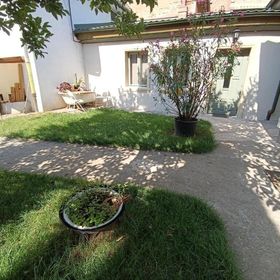 Urban Oasis Guesthouse Târgu Mureș