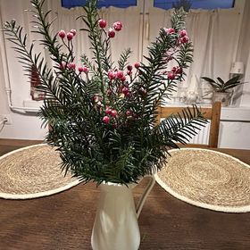 Sziget Gyöngye Vendégház Tahitótfalu