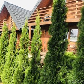 Boso po Rosie Domki Bieszczadzkie Polańczyk