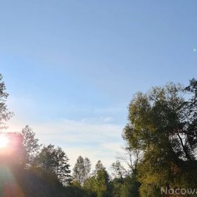 Rudnianówka Łukawica, Susiec