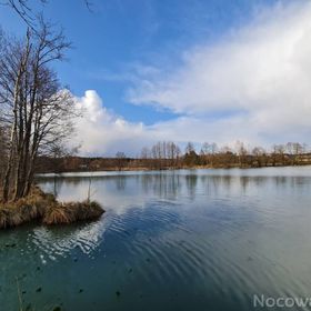 Rudnianówka Łukawica, Susiec