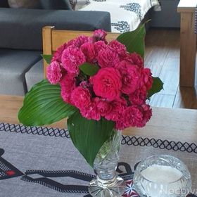 Domki w Pieninach Całoroczne Krościenko nad Dunajcem