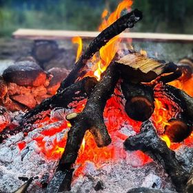 Życia Smak Life's Flavour