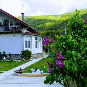 Vila di Pau Băile Herculane