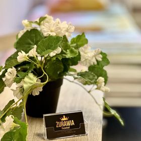 Hostel Żurawia Warszawa