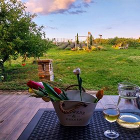 Mediterrán Birtok Tevel