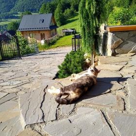 Apartamenty Na Brzegu Szczawnica