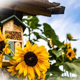 Csörnyeföld Vendégháza