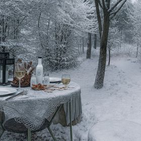Forest Hide Tiny House Covasna 
