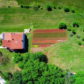Apartment Bruno Barban