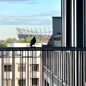 Studio Praga Wrzesińska 48 Warszawa