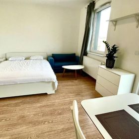 Studio Praga Wrzesińska 47