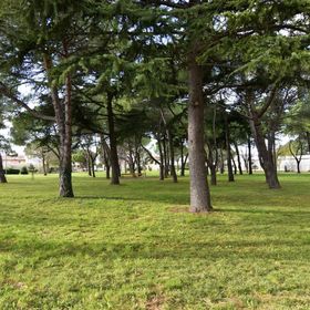 Apartman Capriati Umag