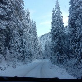 Casa Vilmos Vărșag