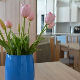 Apartament Mario Mechelinki II