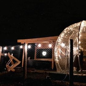 Tiny House Colibița