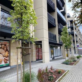 Family & Business Elegant Apartments, Kadzielnia, WDK, Stadion Korona