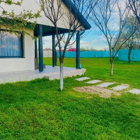 Tacchini's Home Plosca