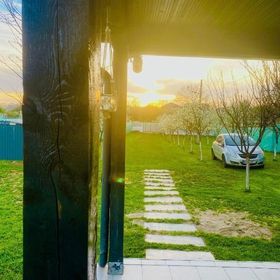 Tacchini's Home Plosca