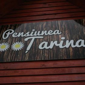  Pensiunea Țarina Șuncuiuș
