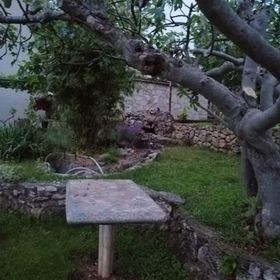 Apartment Anka Marina