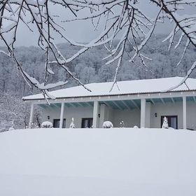 Cristelyn Residence Bran