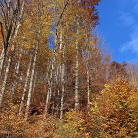 Pénzpataki Vadászház Répáshuta