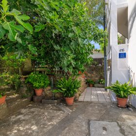 Apartments Jug Lopar