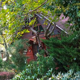 Apartament SECESJA Ostrów Wielkopolski