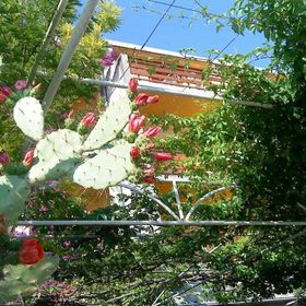 Apartments Bor Makarska