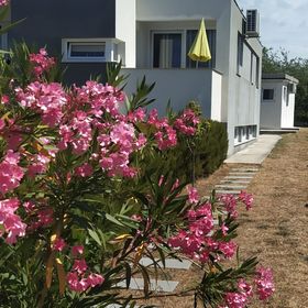 Apartments Dora Bibinje