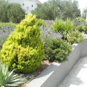 Apartments Dora 2 Bibinje