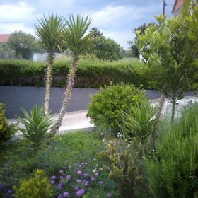 Apartments Dora 2 Bibinje