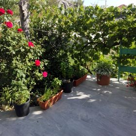 Apartments Markas Rtina