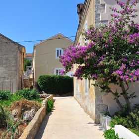 Apartments Oasis Veli Rat