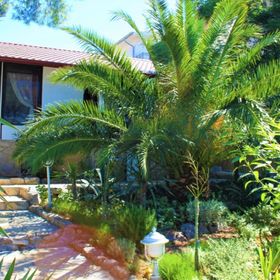 House Helena Starigrad Paklenica II