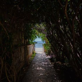 Apartments Bozena Vir