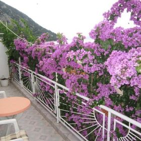Apartment Graciela Gradac