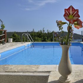 Apartments Toni Maslinica