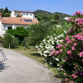 Apartmanok Parkolóhellyel Banjol, Rab - 23240 Banjol