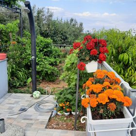 Apartmanok Parkolóhellyel Seget Donji, Trogir - 23533 Seget Donji