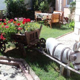 Apartments Dreamy Nin